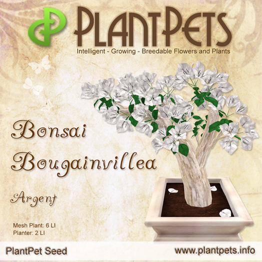 PlantPet Seed [Bonsai Bougainvillea *Argent*]