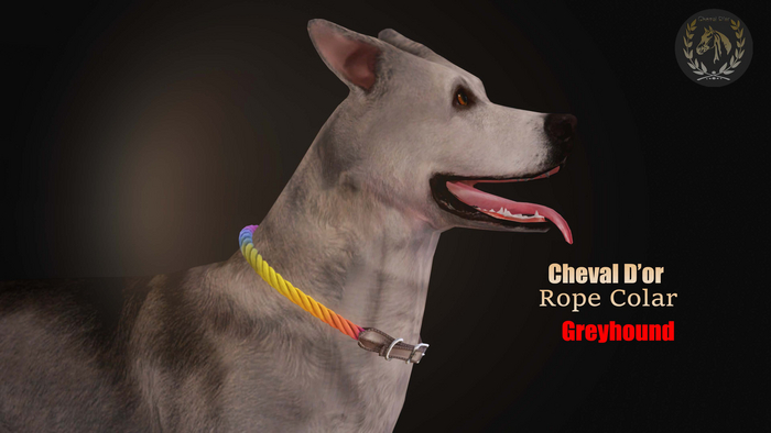 Cheval D'or / Teeglepet Greyhound / Rope Collar. [HUD]