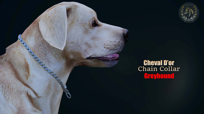 Cheval D'or / Teeglepet Greyhound / Chain Collar. [HUD]