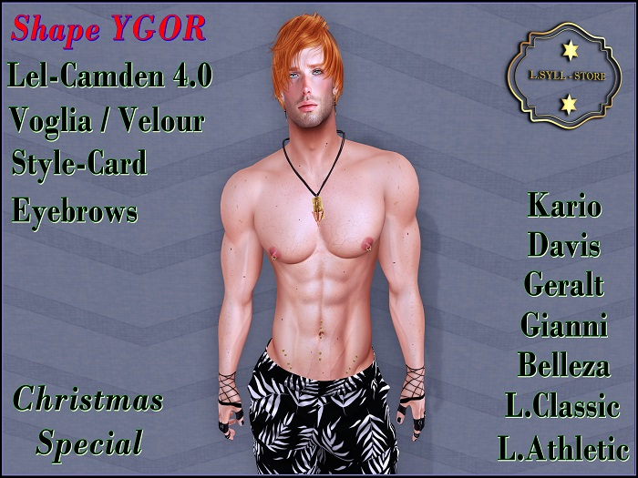 Shape - YGOR - Fatpack Xmas