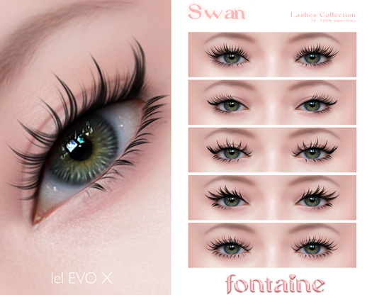 Fontaine Cosmetics - Swan Lashes Collection - DEMO