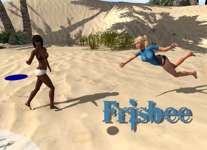 [Captivity Co.] Frisbee