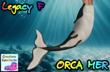 Creature Comforts - Orca Bento Mermaid (Legacy F)