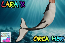 Creature Comforts - Orca Bento Mermaid (Lara X)