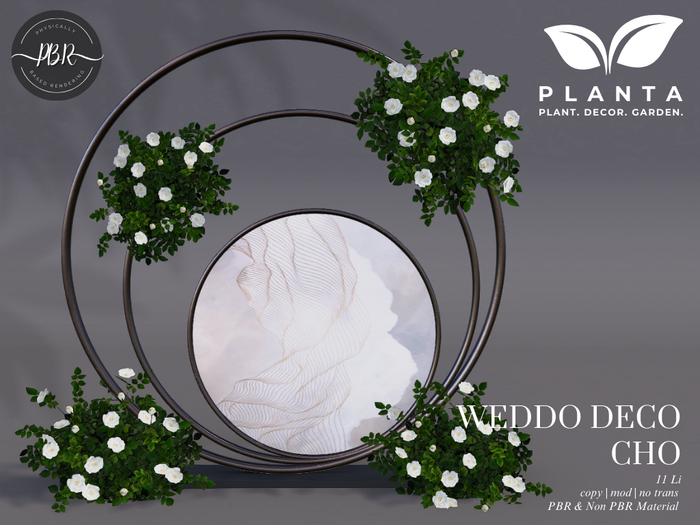 Planta - Weddo Deco Cho