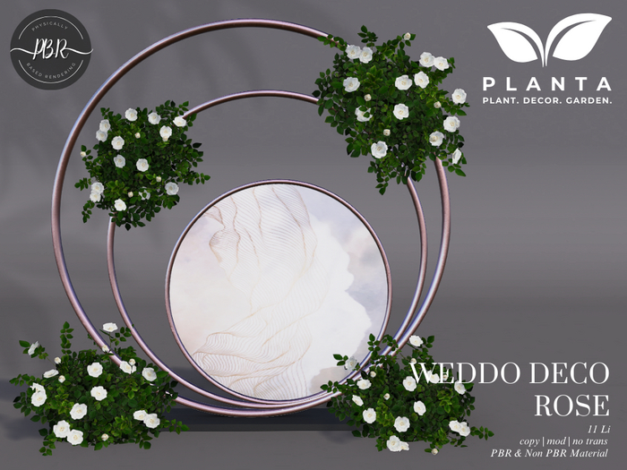 Planta - Weddo Deco Rose