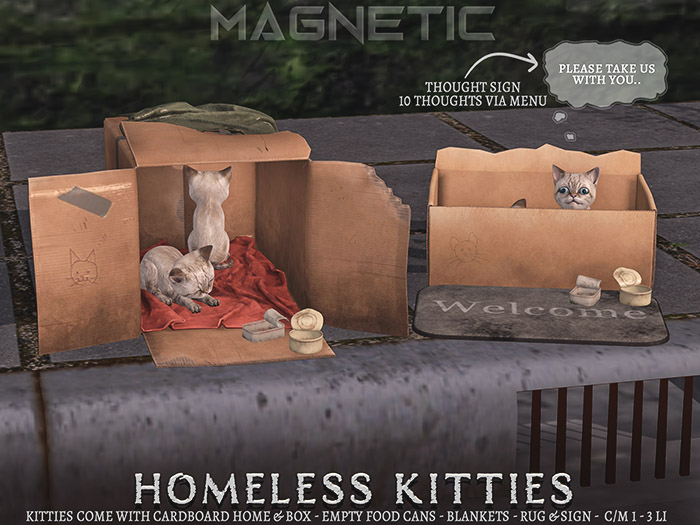 Magnetic - Homeless Kitties