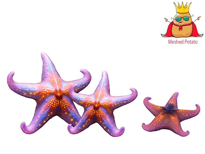 Meshed Potato - Starfish Full Perm