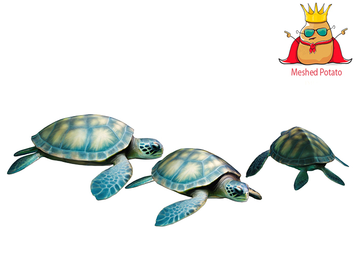 Meshed Potato - Sea Turtle Full Perm