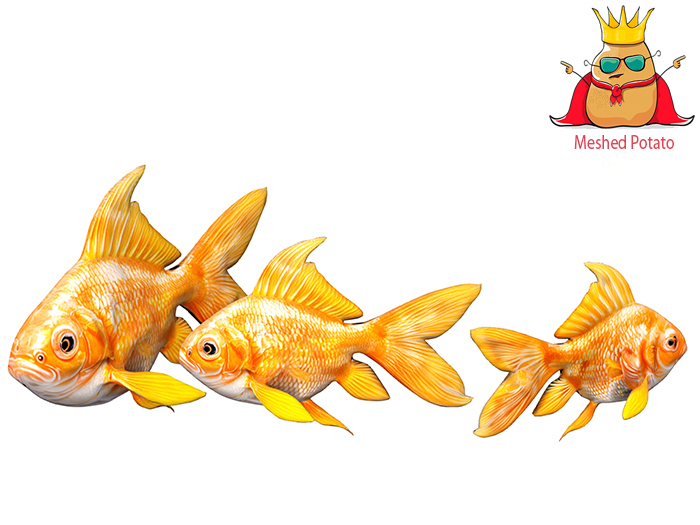 Meshed Potato - Goldfish Full Perm