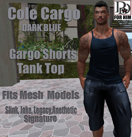 !!PD-ColeCargoset1 DarkBlue