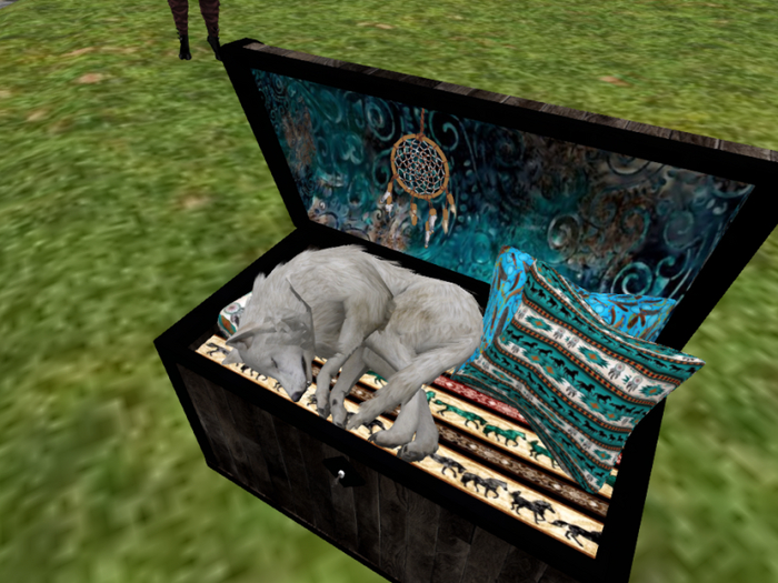 Wolf A sleep in Blanket Trunk-miss a thing
