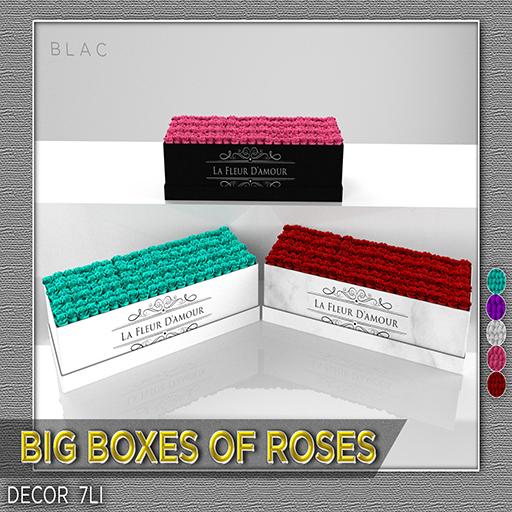///ZB-BIG ROSE BOXES FATPACK