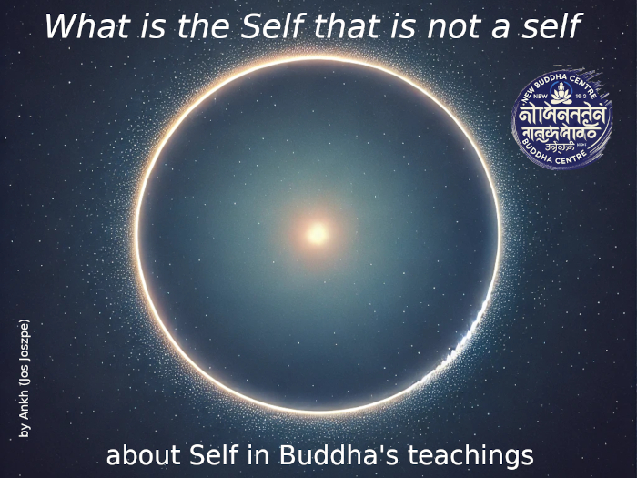 What is the Self that is not a self (Box)