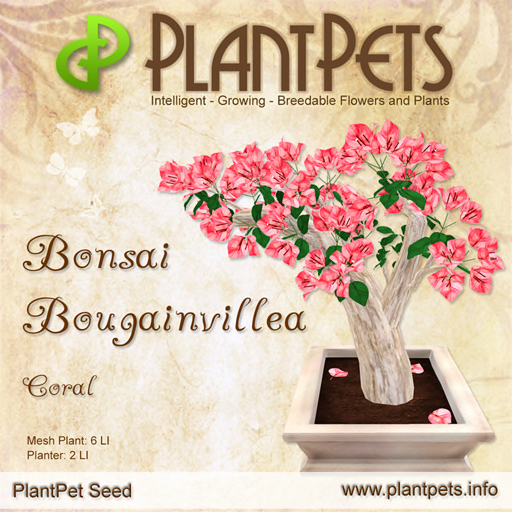 PlantPet Seed [Bonsai Bougainvillea *Coral*]