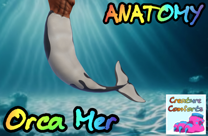 Creature Comforts - Orca Bento Mermaid (Anatomy)