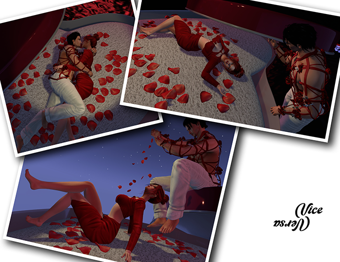 Vice Versa Heart Lovers