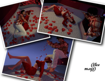 Vice Versa Heart Lovers