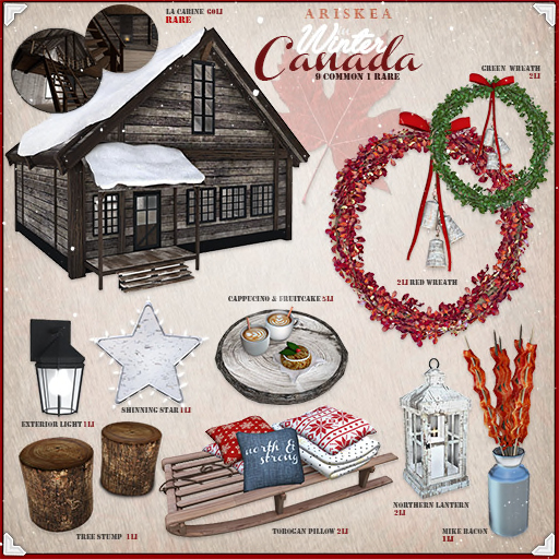 Ariskea[Winter in Canada] Northern Lantern