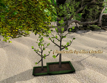 07 Tsuru`s Artefacts Bonsai display - 7