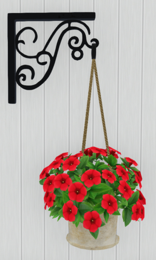 Hanging Red Petunia on Bracket