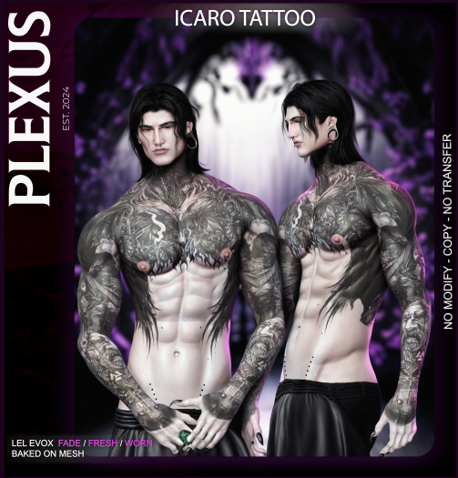 [PLEXUS]- Icaro - Tattoo.