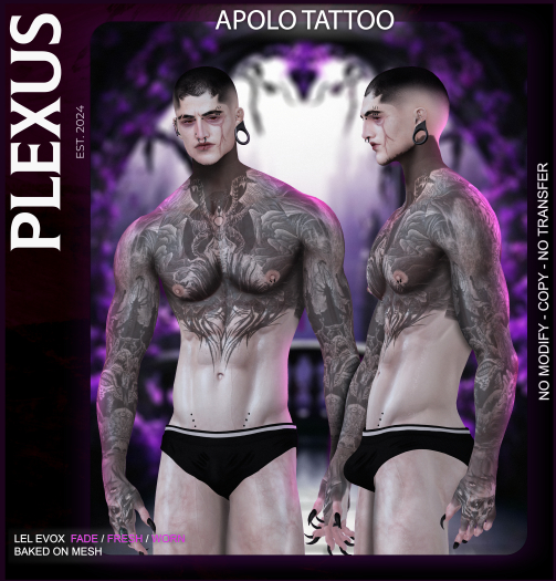 [PLEXUS]-Apolo -Tattoo.