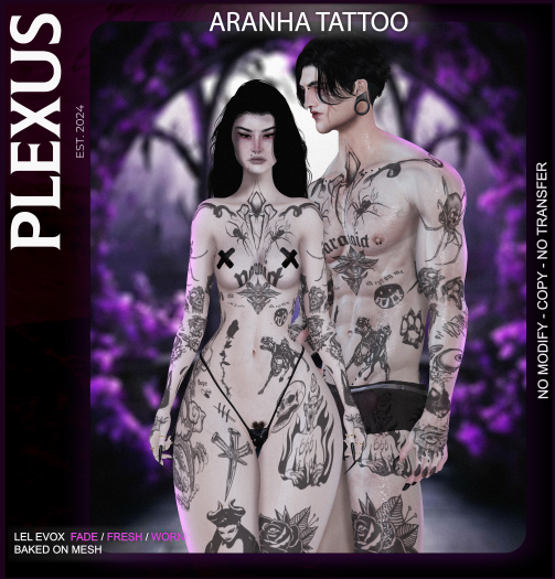[PLEXUS]- Aranha -Tattoo.