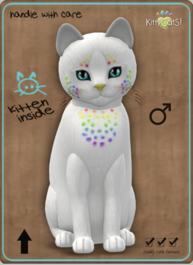 KittyCatS Box - Confetti - CocoBerry Male No5