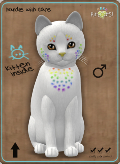KittyCatS Box - Confetti - CocoBerry Male No 8