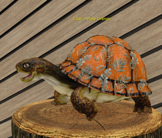 Foxtrot Box Turtle Breedable Egg Large Female Fernly Orange