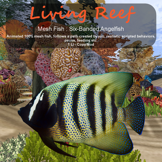 Inochi Reef : Mesh Fish - Six-Banded Angelfish