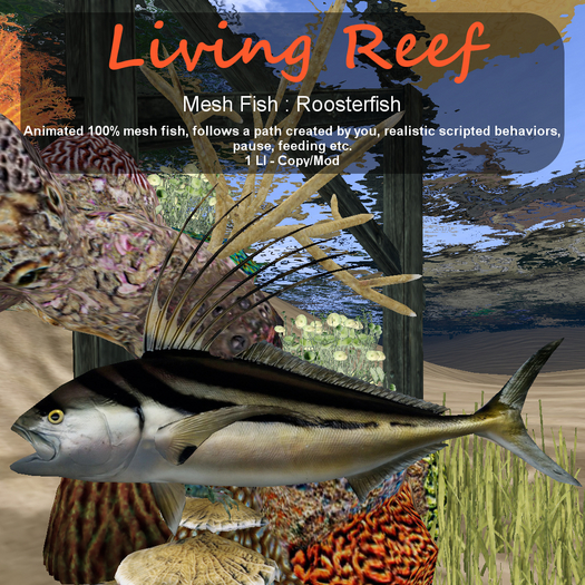 Inochi Reef : Mesh Fish - Roosterfish