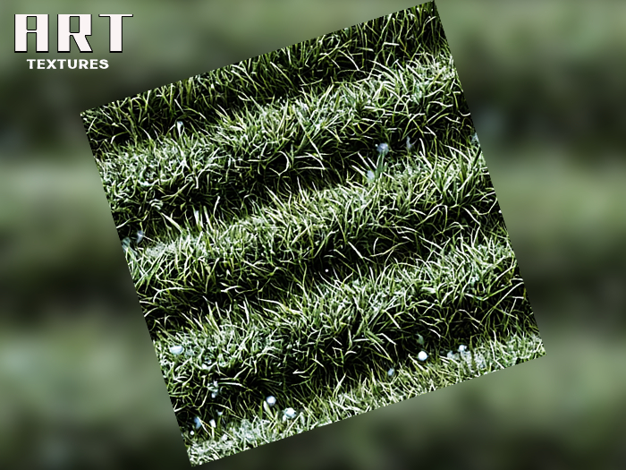 -ART- FULL PERM  Grass  - Textures  48