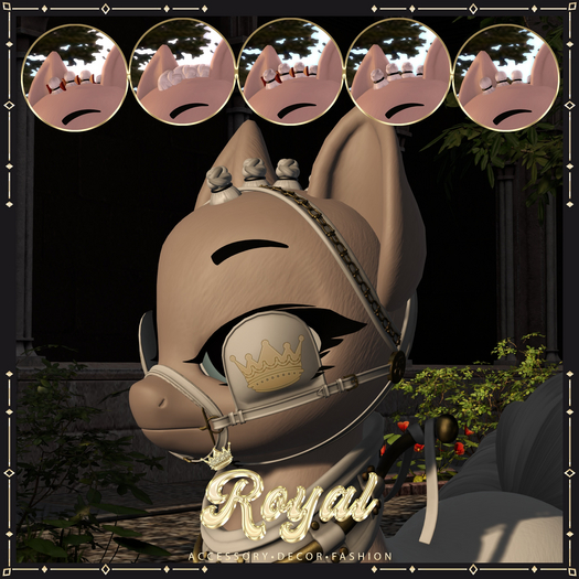 Royal. Bobbed Mane Set [OP]