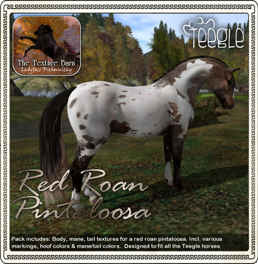 Texture Barn: Red Roan Pintaloosa for Teegle Horses & Pets