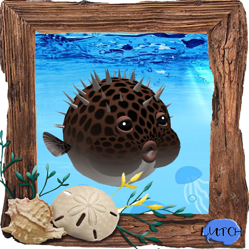 (7S) Rare Fish: Puffed Puffer Fish