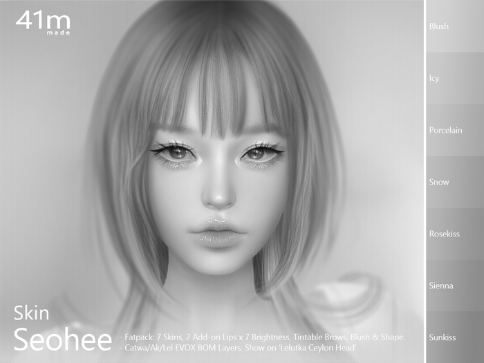 (DEMO) 41m / Skin Seohee / EvoX