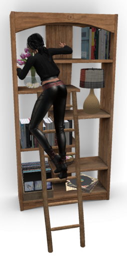 SHELF / ETAGERE (BOX)