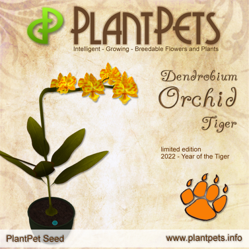 "Limited" PlantPet Seed [Dendrobium Orchid *Tiger*]