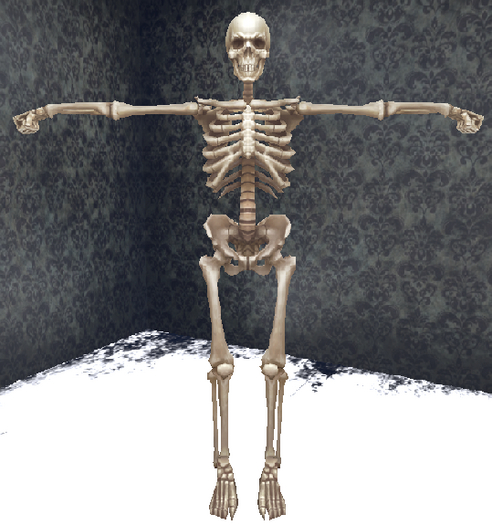 FP Boney the big Skeleton mesh avatar