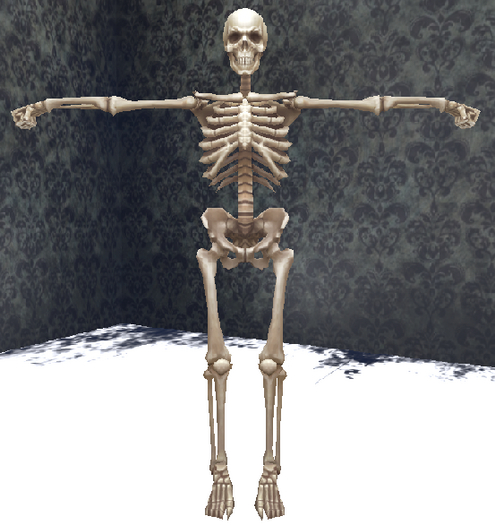 FP Boney the Skeleton mesh avatar