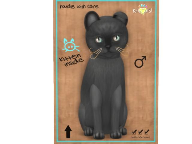 KittyCatS Box - 9 T - M - Burmese - Blue