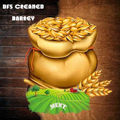 DFS Cleaned Barley