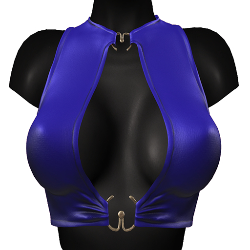 .SG. Kari Top - Blue