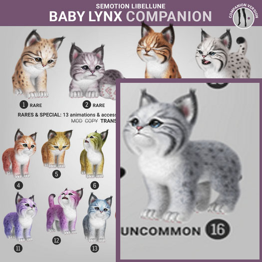 SEmotion Libellune Baby Lynx Companion UNCOMMON 16