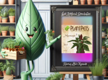 PlantPets Seed Maranta *Red*