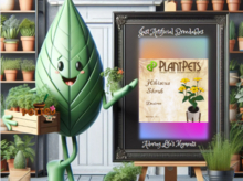 PlantPets Seed Hibiscus Shrub *Desiree*