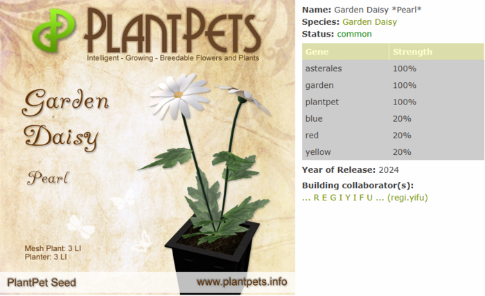 PlantPet Seed [Garden Daisy *Pearl*]