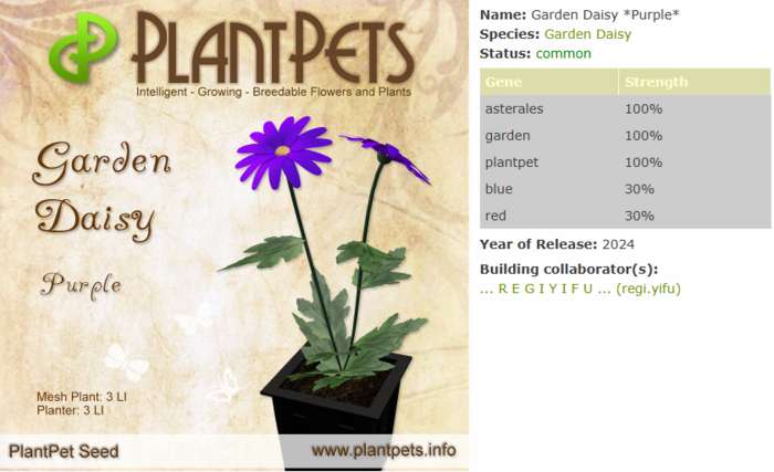 PlantPet Seed [Garden Daisy *Purple*]